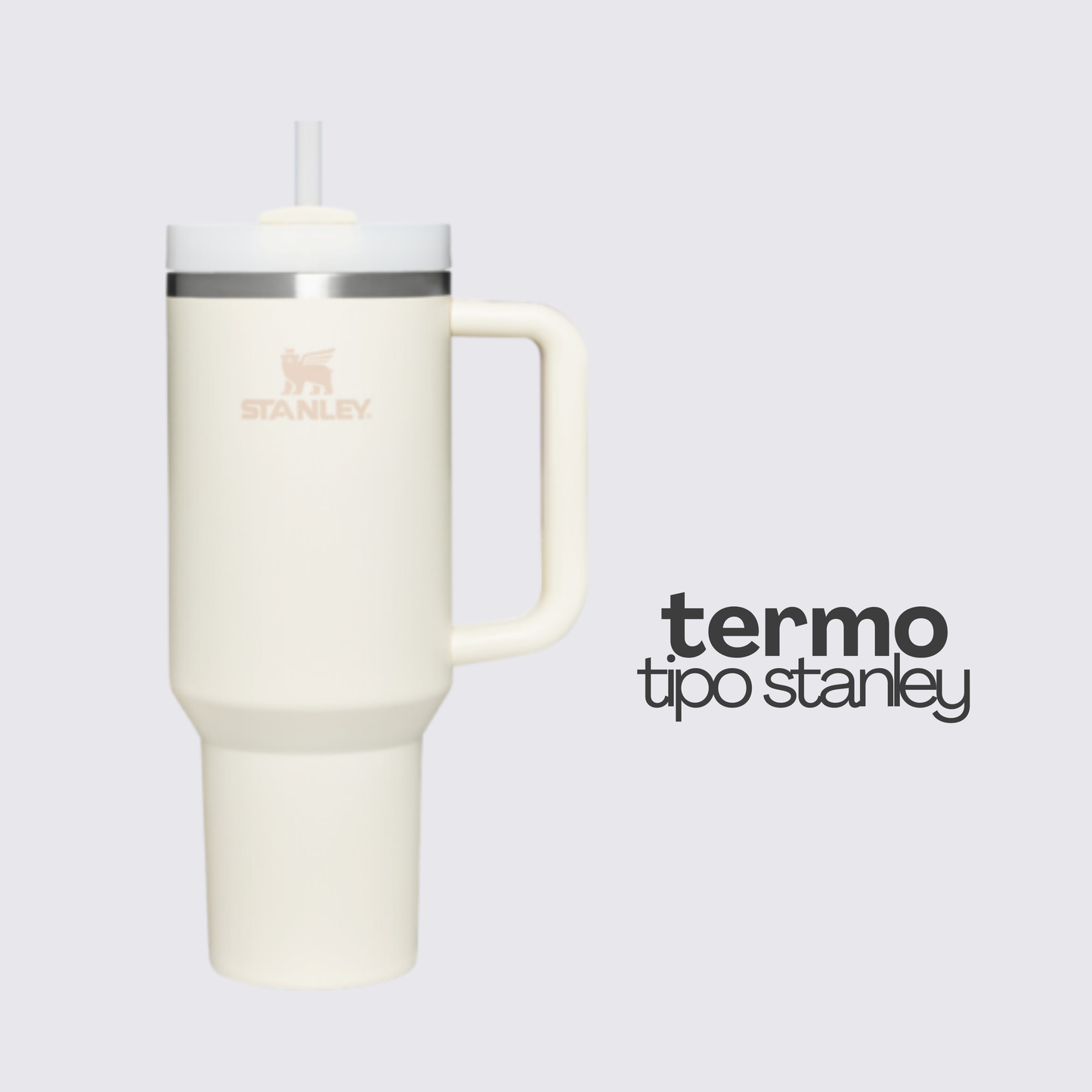 Termo con Aislamiento de Acero